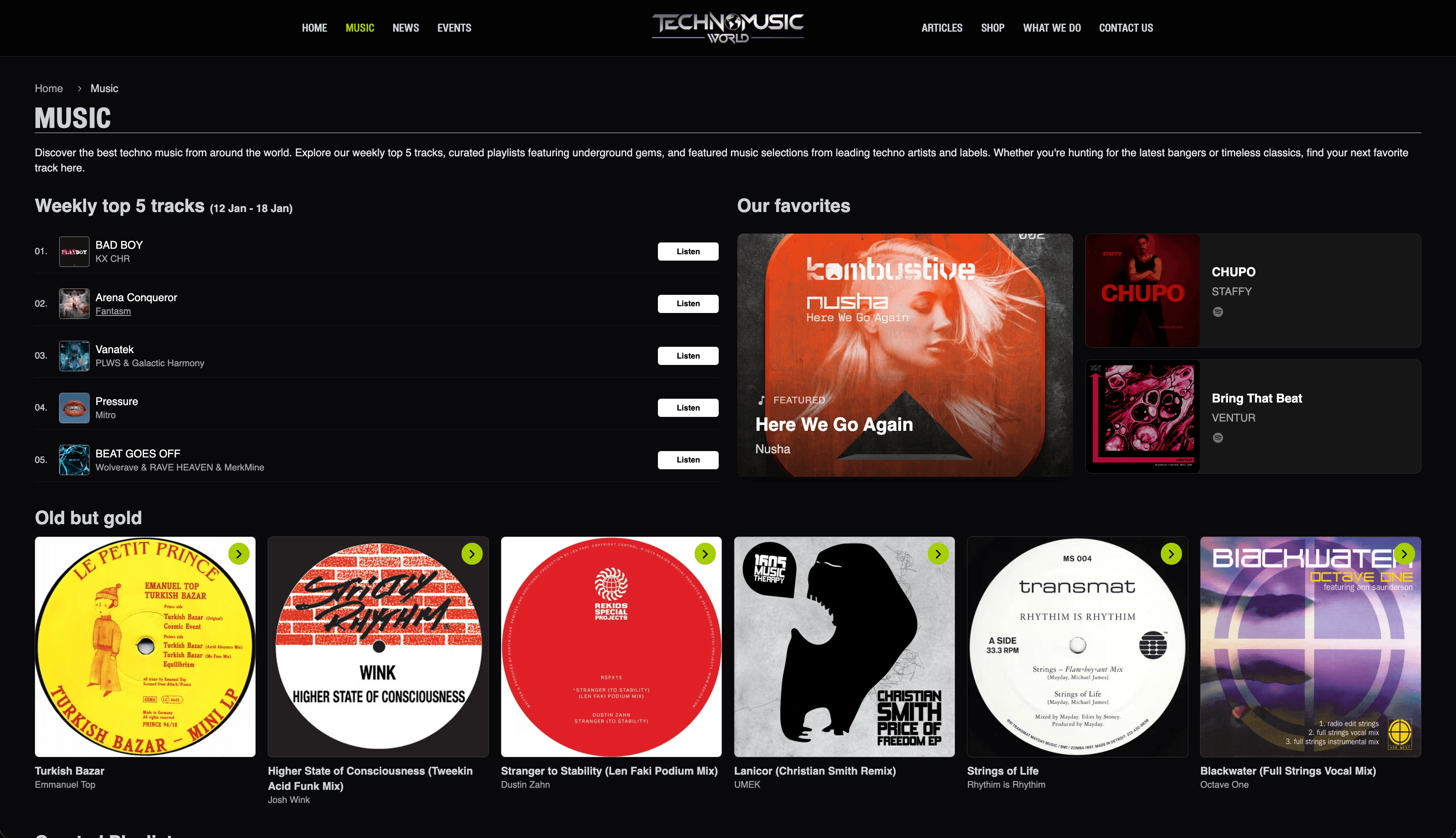 TechnoMusicWorld - Blog section